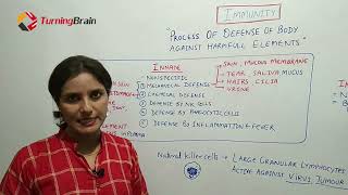 IMMUNITY PART 1 Basics of Immunity Innate Immunity in Detail [upl. by Waylen200]