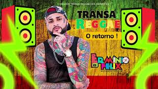 ERMINIO FÉLIX  TRANSA REGGAE  O RETORNO 2024  PAREDÃO GRAVE [upl. by Geldens]