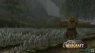 World of Warcraft  Weather Effects Rain [upl. by Anirat]