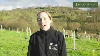 Introduction to Saving Devon’s Treescapes long [upl. by Fabria]