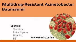 Multidrug  Resistant Acinetobacter Baumannii [upl. by Schrick]