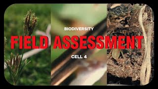 Index and Catalogue An Assessment of Biodiversity of Alangalang National High School  Cell4Aqua [upl. by Enieledam]