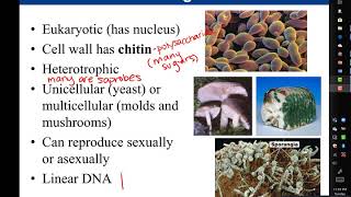 Chapter 1 Introduction to Microbiology [upl. by Verna]