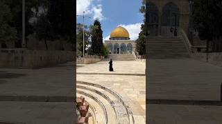 Panoramic view of Jerusalem from Mount ScopusIsrael 2024 [upl. by Thain]