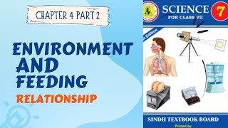 CHAPTER 4  PART 2 ENVIRONMENT AND FEEDING RELATIONSHIPS [upl. by Colley508]