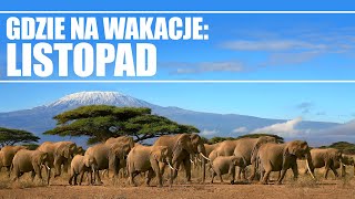 Gdzie na wakacje listopad  Travelplanetpl [upl. by Kcirdnekal]