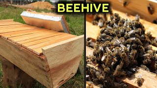 Making an Easy and Quick BEE HIVE [upl. by Otsenre500]