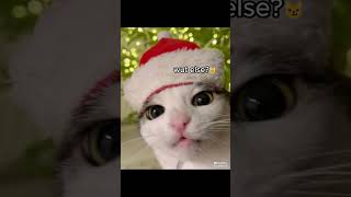 Christmas Have a happy Christmas Like and Subscibe😂 [upl. by Cleon]