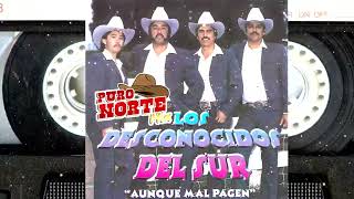 LOS DESCONOCIDOS DEL SUR  10 Canciones y Corridos Album Completo [upl. by Haya]