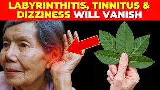 Plant 1 that Vanishes Labyrinthitis Tinnitus and Dizziness Instantly How to use it [upl. by Ahsinom582]