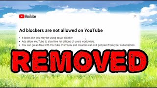 SOLVED Adblock on Youtube not working workaround  November 2023  Latest FIX [upl. by Maclaine]