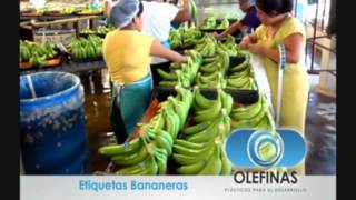 Etiquetas para Frutas Banano [upl. by Accisej127]