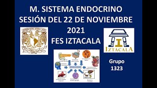 M Sistema Endocrino Sesión del Lunes 22 de Noviembre del 2021 [upl. by Llemart]