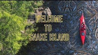 Snake Island Brazil A Deadly Destination Like No Other  Ilha de Queimada Grande [upl. by Melly]