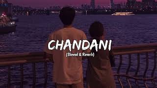 Chandani  Slowed amp Reverb  Sachet Tandon Parampara Tandon  Broken [upl. by Urbannal]