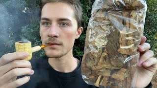 Smoking Nicotiana Rustica for the First Time Strongest Tobacco in the World [upl. by Oaht640]