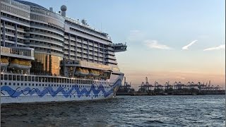 KREUZFAHRTSCHIFFE HAMBURG MIT AIDA PRIMA UND REGAL PRINNCESS HORN [upl. by Nylitsirk]