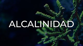 ¿Qué es la Alcalinidad [upl. by Imogen]