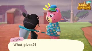 When You Cant Stop Messing With Her  Animal Crossing Villagers  ACNH Lost Items [upl. by Muirhead]