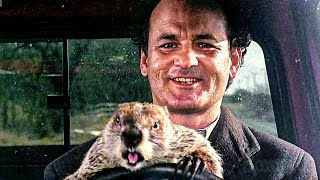 Bill Murray steals a groundhog  Groundhog Day  CLIP [upl. by Matta]