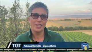 TURISMO UNA PIEVE MILLENARIA RIAFFIORA DAI CAMPI DI GRANO IN TOSCANA IL PRIMO ARCHEOAGRITURISMO [upl. by Airegin]