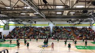 2018 Janesville Parker Homecoming Assembly [upl. by Inalawi]