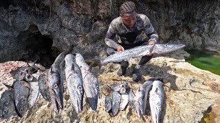 Spearing The Deadliest amp Best Tasting Fish In The Ocean [upl. by Imuyam]