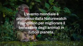 4 ottobre Giornata Mondiale degli Animali [upl. by Jews]