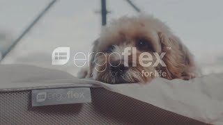 How does the Ergoflex memory foam mattress compare [upl. by Elime364]