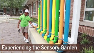 Experiencing The Sensory Garden [upl. by Ricca]