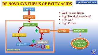 4 De Novo synthesis of Fatty acid  Lipid metabolism4  Biochemistry  NJOY Biochemistry [upl. by Ahtrim766]