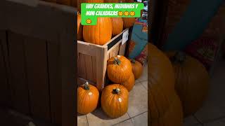 WOW CUAL COMPRARIAS YO CON LA MINI ME QUEDO Y TU🎃🎃🤷🏼‍♀️ youtube viralcalabazatemporada [upl. by Brader]