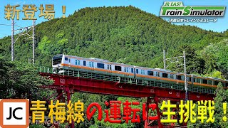 【手元アリ】新登場の青梅線を堪能する配信 → 総武快速線【JR東日本トレインシミュレーター】 [upl. by Auohs928]