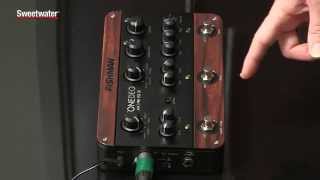 Fishman ToneDEQ Guitar Preamp Effects and EQ Pedal Review by Don Carr [upl. by Ahsiemaj]