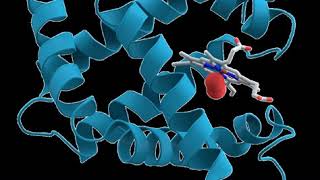 Biosynthetic pathway  Wikipedia audio article [upl. by Erodoeht74]