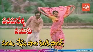 Padaharella Vayasu Movie Songs  Panta Chelo Video Song  Sridevi  Chandra Mohan  YOYO TV Music [upl. by Enisaj32]