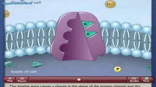 NatriumKalium pomp SodiumPotassium pump [upl. by Jarvis]