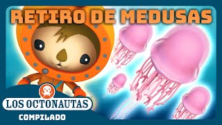 Los Octonautas  🎐 Retiro de medusas 🏖️  Episodios Completos  Compilado [upl. by Trinity]