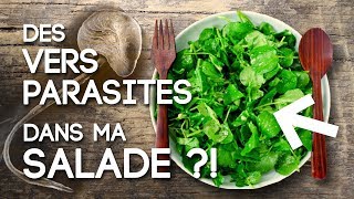 Des vers parasites dans ma salade  la Douve du foie Fasciola hepatica [upl. by Albie]