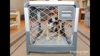 Revol Dog Crate by Diggs Review and Testing [upl. by Con]