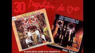 Los Terrícolas 30 Pegaditas de Oro Vol 1 1992 Disco Completo [upl. by Tlevesoor456]