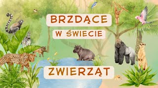 Zabawy logopedyczne i nauka czytania 🐒 Brzdące w świecie zwierząt cz III 🦁 wszystkie animacje [upl. by Celinka482]