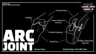 RALIROS Anthropomorphic Rolling Contact joint with Kinematically Variable Torsional Stiffness [upl. by Anelys]