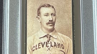 Huge Auction Purchase  Rare 1895 Mayo Cut Plug Baseball Card [upl. by Aldric]