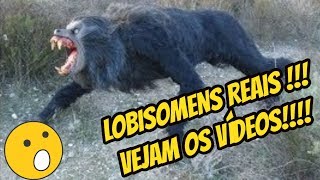 LOBISOMEM  7 VIDEOS REAIS CAPTURADOS POR CÂMERAS [upl. by Ynittirb318]