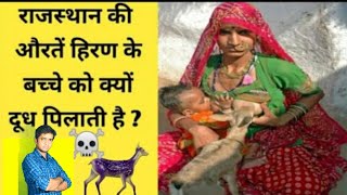 Rajasthani women hiran ko dudh kyo pilati hai राजस्थानी हिरण के बच्चे को दूध क्यों पिलाती है fact [upl. by Aseel252]