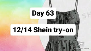 Day 63 Shein tryon 121diet [upl. by Oninrutas882]