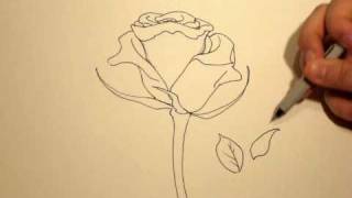 How to Draw a Rose with a Sharpie 1 [upl. by Kaitlynn]