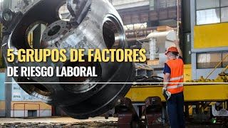 5 GRUPOS DE FACTORES DE RIESGO LABORAL [upl. by Leirej]