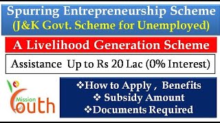 JampK Govt Spurring Entrepreneurship Scheme  Rs 20 Lac Loan 0 Interest  Complete Details [upl. by Perice636]